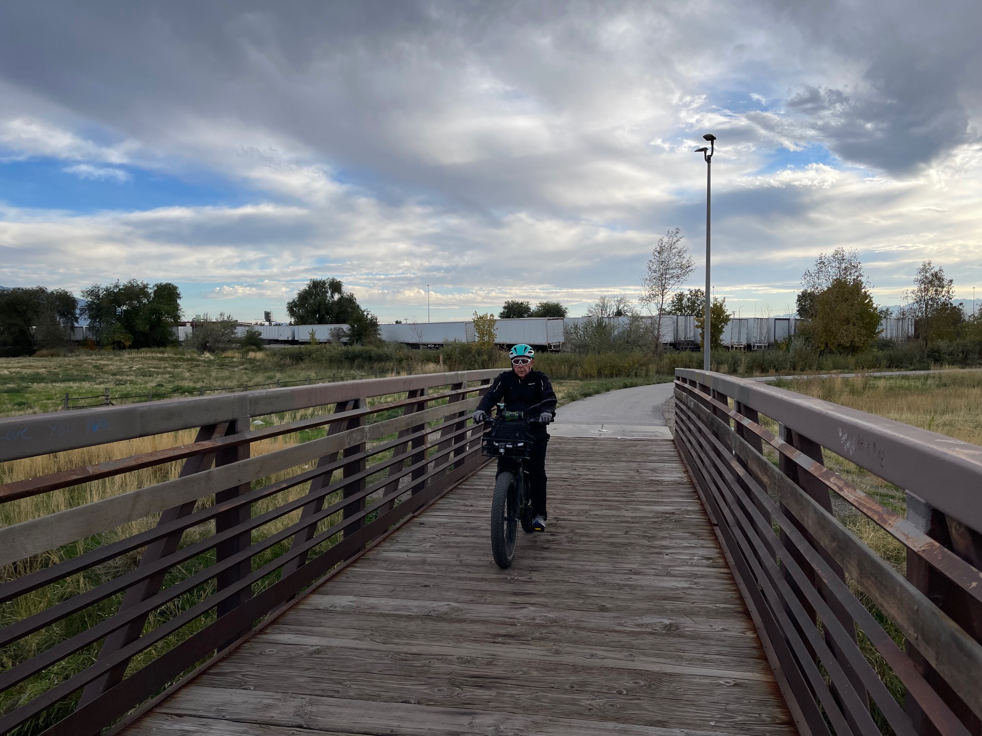 E-Bikes Cut Demand for Oil Far More than Electric Cars