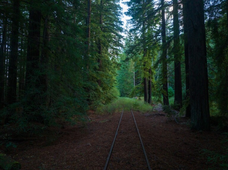 The Great Redwood Trail Master Plan Approved