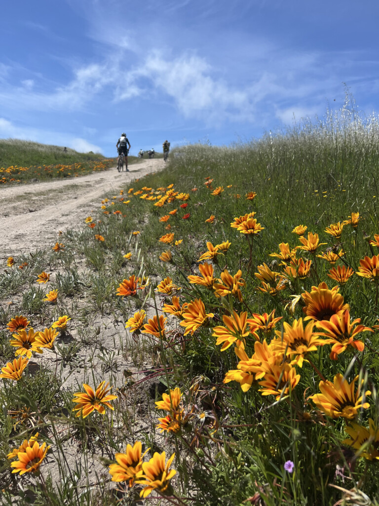 When transitioning from indoor to outdoor riding in spring, it's important to maintain a progressive, structured plan. Photo by Andrew Robinson
