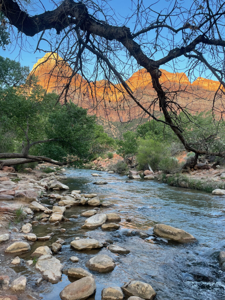 Zion on Two (and Three) Wheels: A Beginner’s Guide with Heart